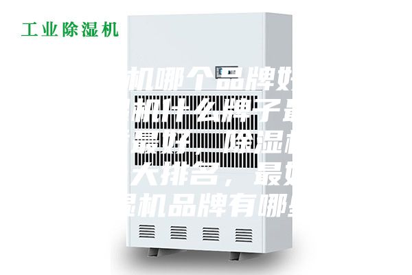 除濕機哪個品牌好用，除濕機什么牌子最好品質(zhì)最好，除濕機品牌十大排名，最好的除濕機品牌有哪些？