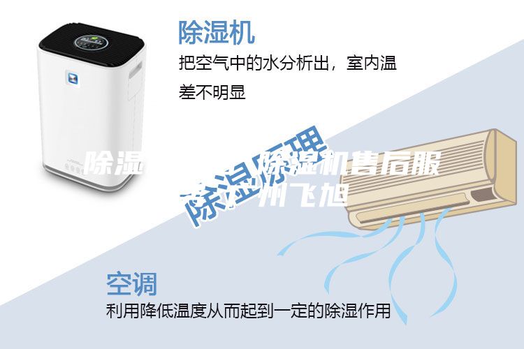 除濕機售后 除濕機售后服務(wù) 廣州飛旭