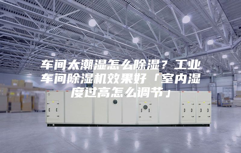 車間太潮濕怎么除濕？工業(yè)車間除濕機效果好「室內(nèi)濕度過高怎么調(diào)節(jié)」