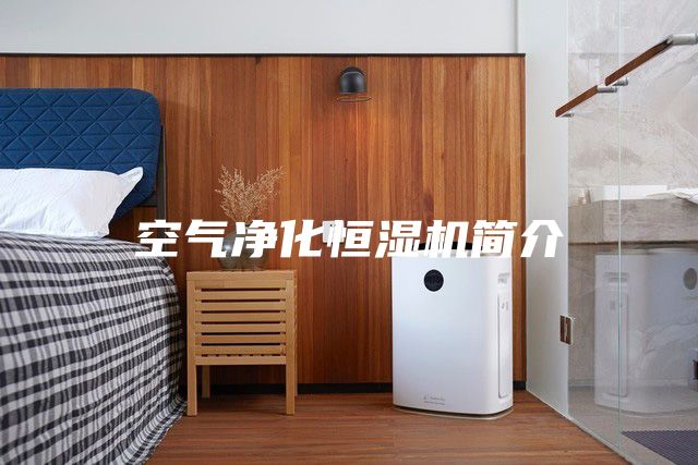 空氣凈化恒濕機(jī)簡(jiǎn)介