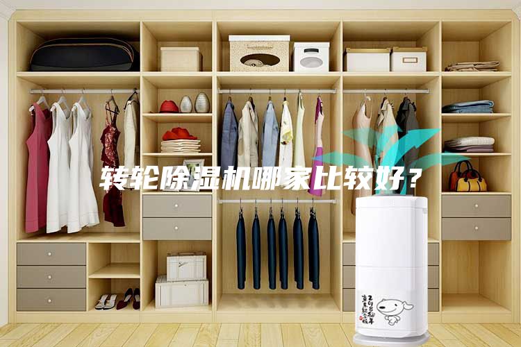 轉(zhuǎn)輪除濕機(jī)哪家比較好？