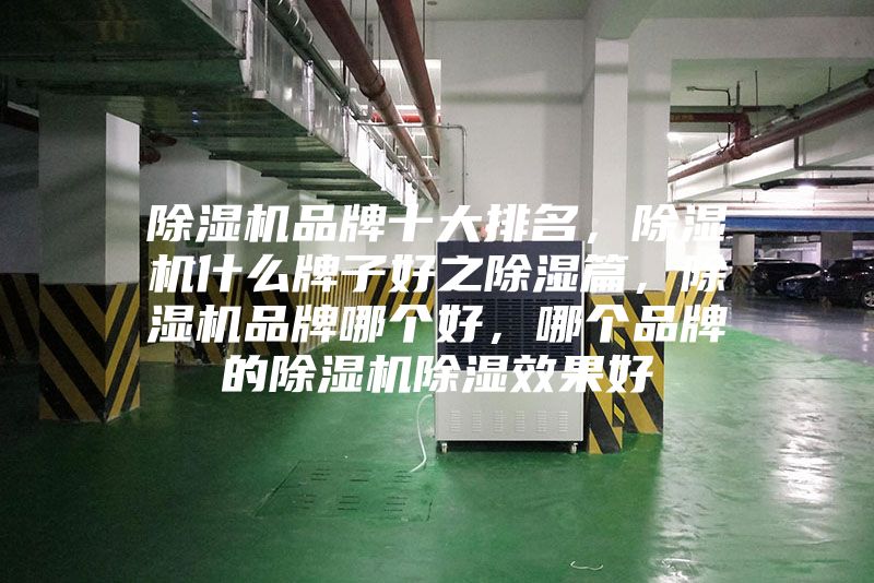 除濕機(jī)品牌十大排名，除濕機(jī)什么牌子好之除濕篇，除濕機(jī)品牌哪個(gè)好，哪個(gè)品牌的除濕機(jī)除濕效果好