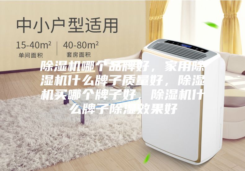 除濕機(jī)哪個(gè)品牌好，家用除濕機(jī)什么牌子質(zhì)量好，除濕機(jī)買哪個(gè)牌子好，除濕機(jī)什么牌子除濕效果好