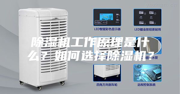 除濕機工作原理是什么？如何選擇除濕機？