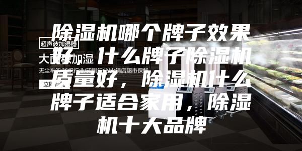 除濕機(jī)哪個(gè)牌子效果好，什么牌子除濕機(jī)質(zhì)量好，除濕機(jī)什么牌子適合家用，除濕機(jī)十大品牌