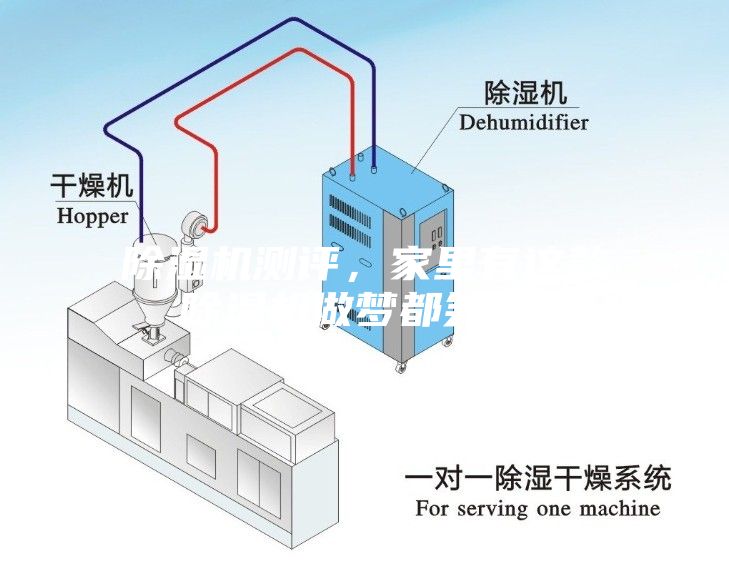 除濕機(jī)測(cè)評(píng)，家里有這款除濕機(jī)做夢(mèng)都笑醒！