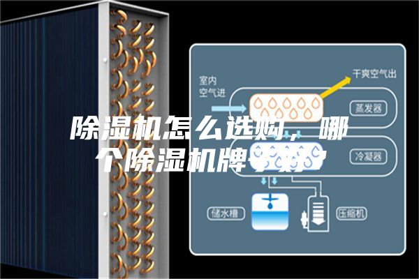 除濕機(jī)怎么選購(gòu)，哪個(gè)除濕機(jī)牌子好？