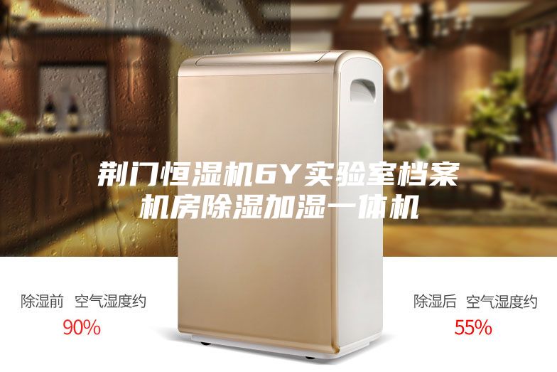 荊門恒濕機(jī)6Y實(shí)驗(yàn)室檔案機(jī)房除濕加濕一體機(jī)