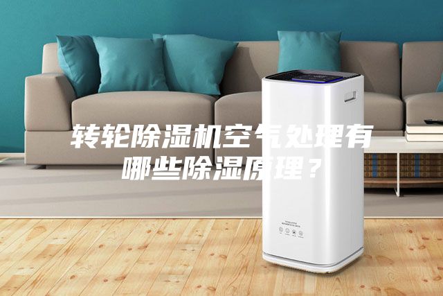 轉(zhuǎn)輪除濕機空氣處理有哪些除濕原理？