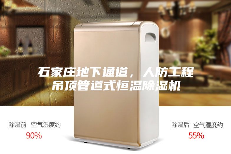 石家莊地下通道，人防工程吊頂管道式恒溫除濕機(jī)