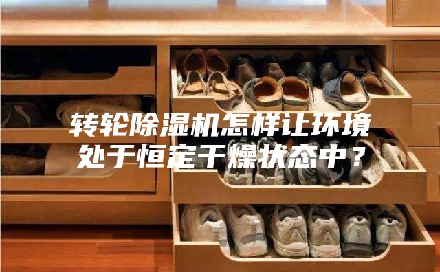 轉(zhuǎn)輪除濕機(jī)怎樣讓環(huán)境處于恒定干燥狀態(tài)中？