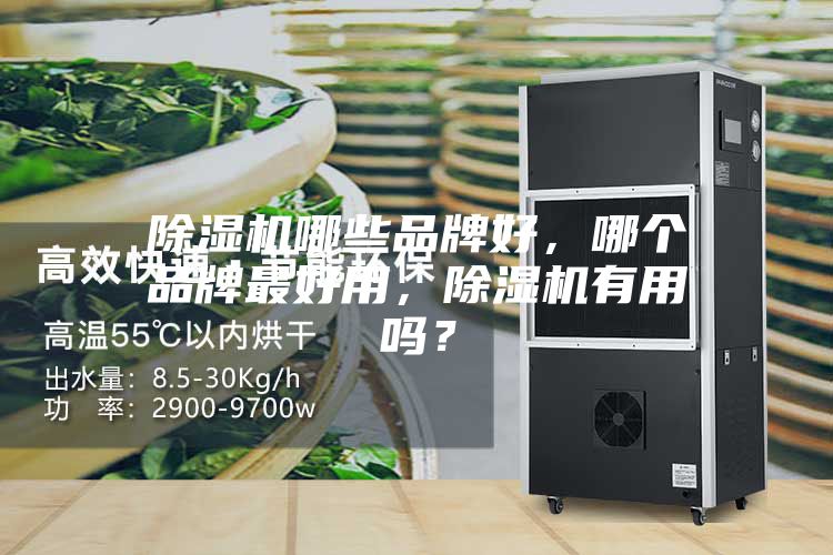 除濕機(jī)哪些品牌好，哪個(gè)品牌最好用，除濕機(jī)有用嗎？