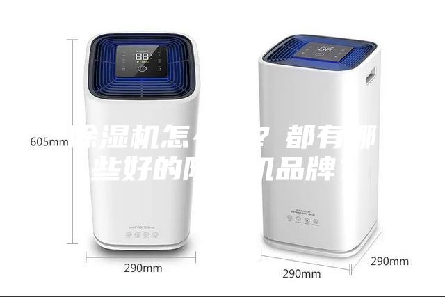 除濕機(jī)怎么選？都有哪些好的除濕機(jī)品牌？