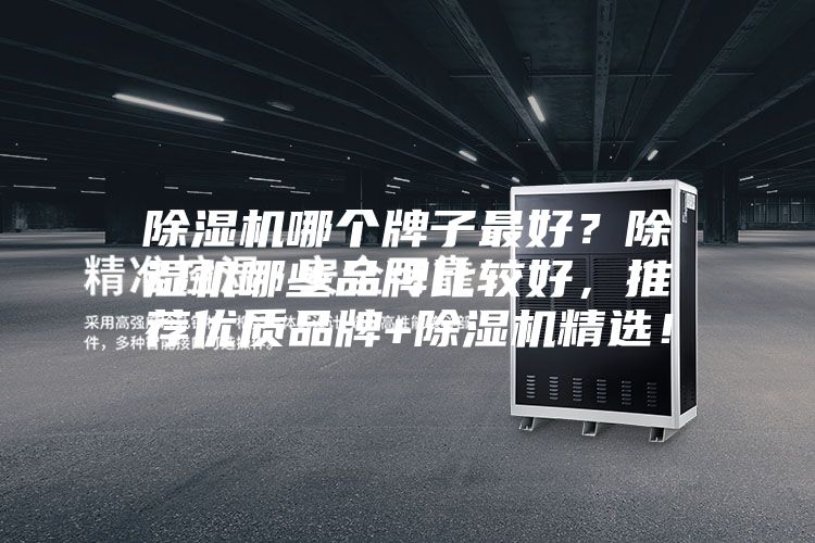 除濕機(jī)哪個(gè)牌子最好？除濕機(jī)哪些品牌比較好，推薦優(yōu)質(zhì)品牌+除濕機(jī)精選！