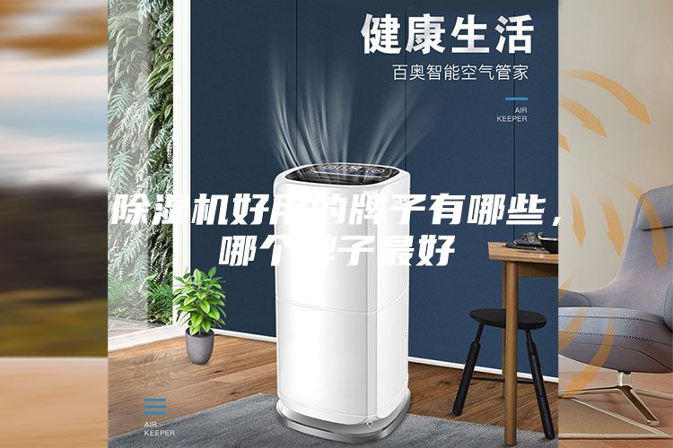 除濕機好用的牌子有哪些，哪個牌子最好