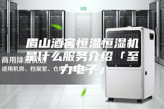 眉山酒窖恒溫恒濕機(jī)是什么服務(wù)介紹「至力電子」