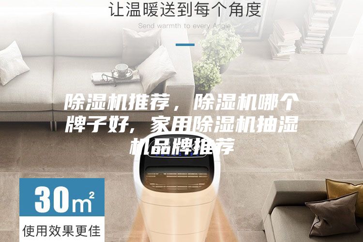 除濕機推薦，除濕機哪個牌子好, 家用除濕機抽濕機品牌推薦