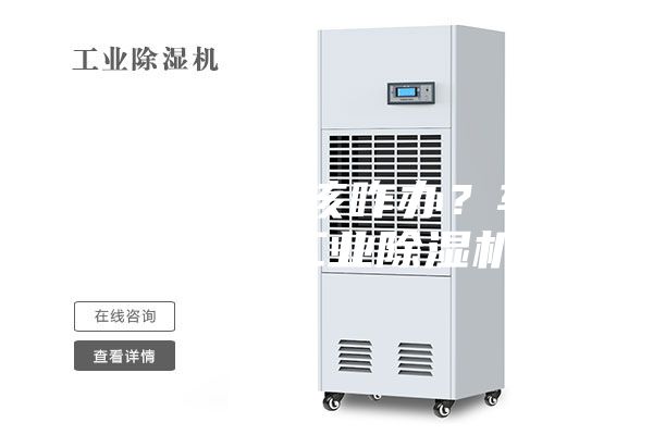 車間潮濕該咋辦？車間除潮工業(yè)除濕機