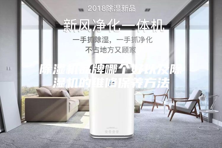 除濕機(jī)品牌哪個(gè)好以及除濕機(jī)的維修保養(yǎng)方法