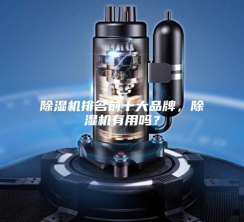 除濕機(jī)排名前十大品牌，除濕機(jī)有用嗎？