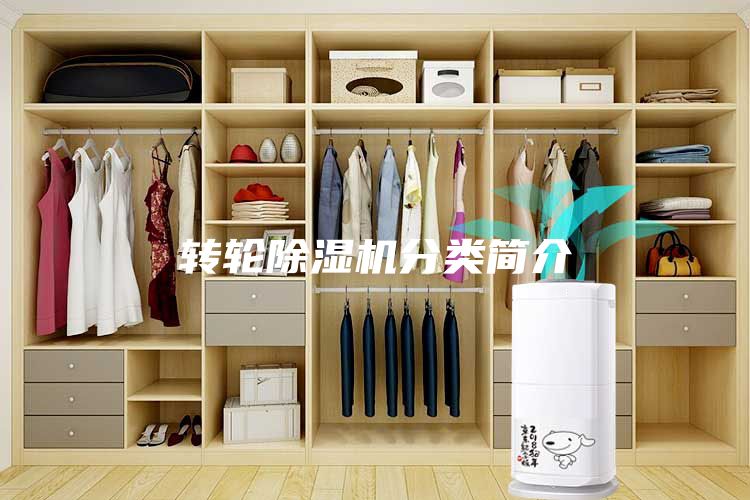 轉(zhuǎn)輪除濕機分類簡介