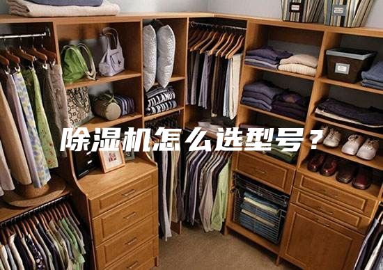 除濕機(jī)怎么選型號？