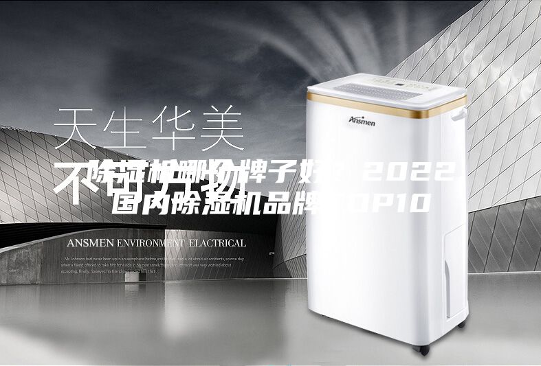 除濕機哪個牌子好？2022國內(nèi)除濕機品牌TOP10