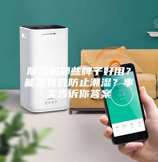 除濕機哪些牌子好用？能否有效防止潮濕？事實告訴你答案