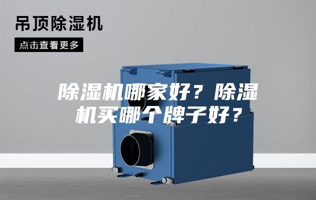 除濕機哪家好？除濕機買哪個牌子好？