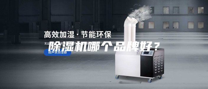 除濕機(jī)哪個(gè)品牌好？