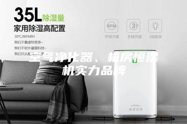 空氣凈化器、機(jī)房恒濕機(jī)實(shí)力品牌