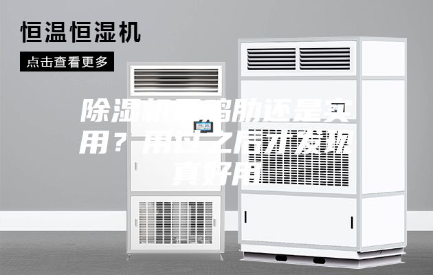 除濕機(jī)是雞肋還是實用？用過之后才發(fā)現(xiàn)真好用