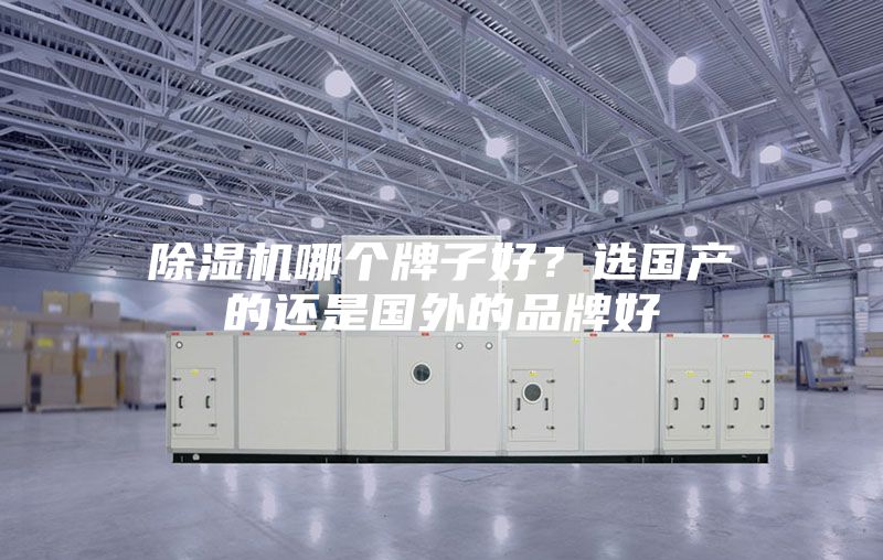 除濕機(jī)哪個(gè)牌子好？選國(guó)產(chǎn)的還是國(guó)外的品牌好