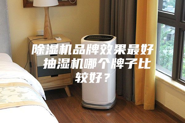 除濕機品牌效果最好 抽濕機哪個牌子比較好？