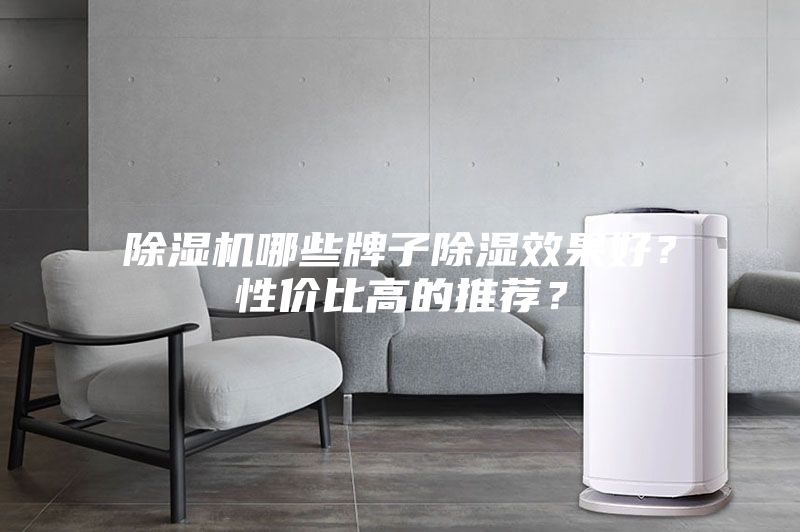 除濕機哪些牌子除濕效果好？性價比高的推薦？