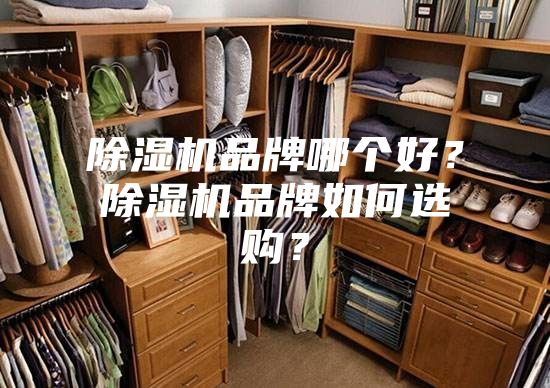 除濕機(jī)品牌哪個(gè)好？除濕機(jī)品牌如何選購(gòu)？