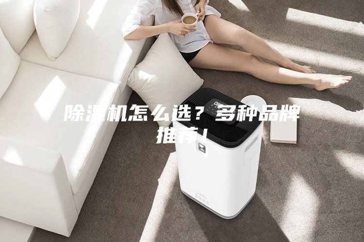 除濕機(jī)怎么選？多種品牌推薦！