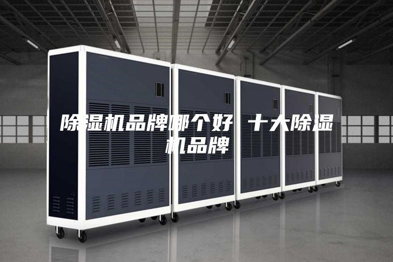 除濕機(jī)品牌哪個(gè)好 十大除濕機(jī)品牌