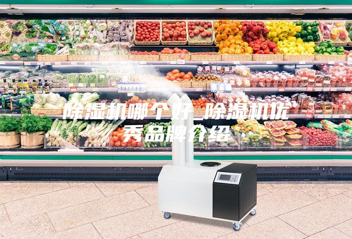 除濕機(jī)哪個(gè)好_除濕機(jī)優(yōu)秀品牌介紹