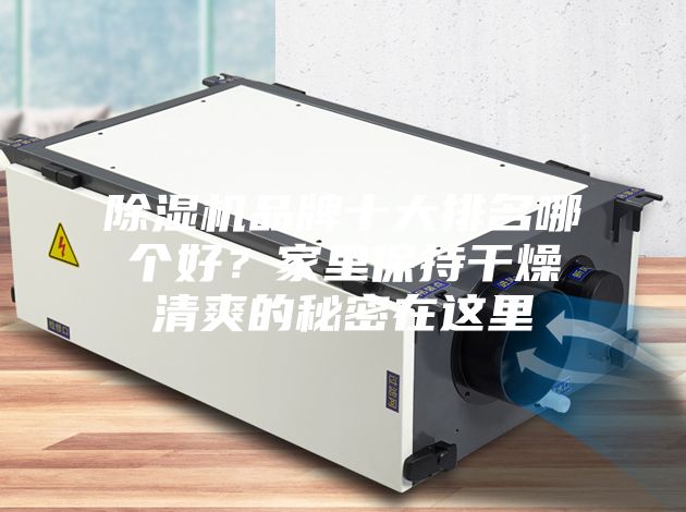 除濕機(jī)品牌十大排名哪個(gè)好？家里保持干燥清爽的秘密在這里