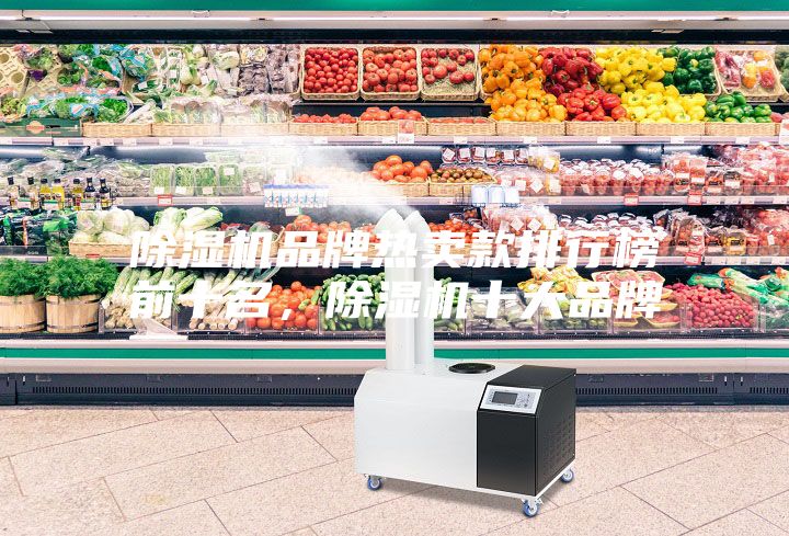 除濕機品牌熱賣款排行榜前十名，除濕機十大品牌