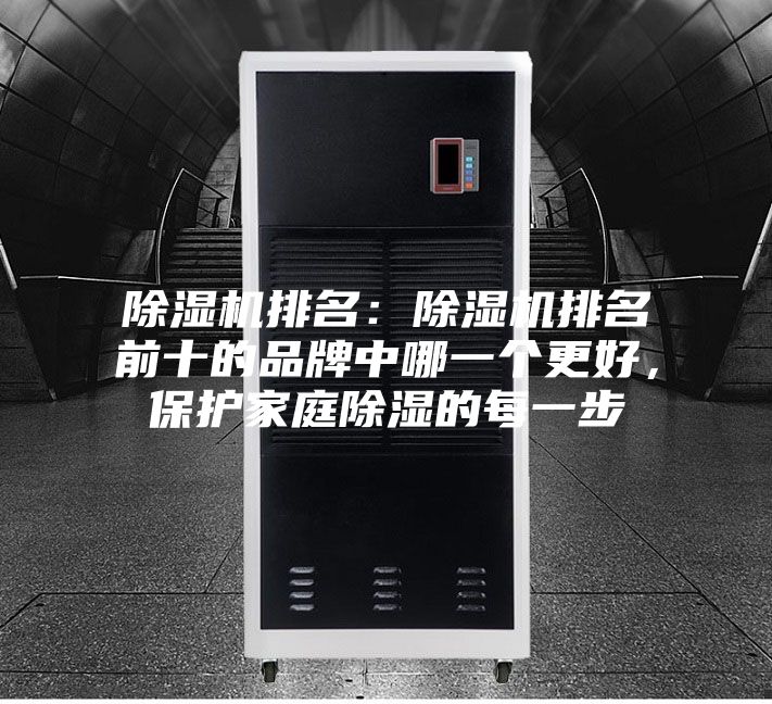 除濕機(jī)排名：除濕機(jī)排名前十的品牌中哪一個(gè)更好，保護(hù)家庭除濕的每一步