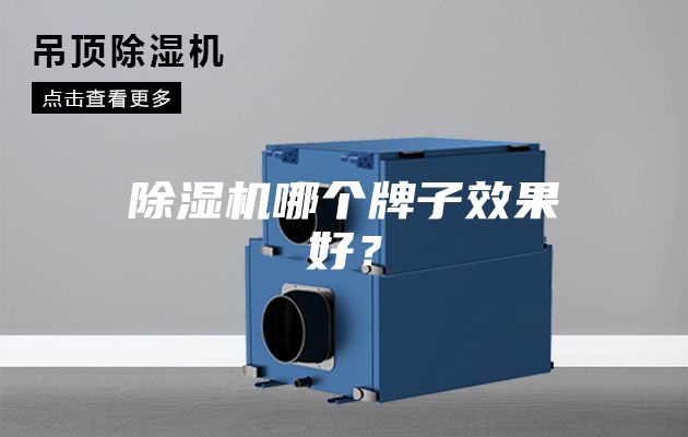 除濕機哪個牌子效果好？