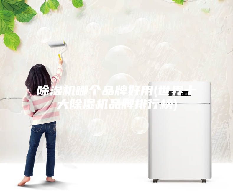 除濕機哪個品牌好用(世界十大除濕機品牌排行榜)