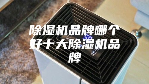 除濕機(jī)品牌哪個(gè)好十大除濕機(jī)品牌