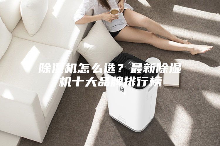 除濕機(jī)怎么選？最新除濕機(jī)十大品牌排行榜