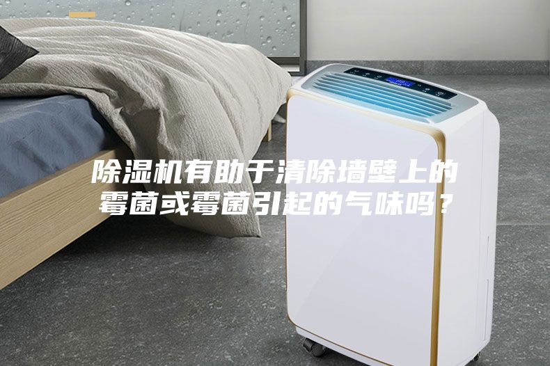 除濕機有助于清除墻壁上的霉菌或霉菌引起的氣味嗎？
