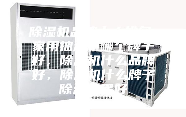 除濕機(jī)品牌十大排名，家用抽濕機(jī)哪個(gè)牌子好，除濕機(jī)什么品牌好，除濕機(jī)什么牌子除濕效果好