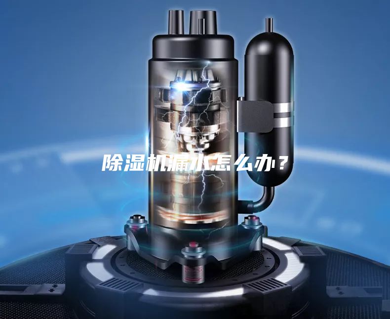 除濕機漏水怎么辦？