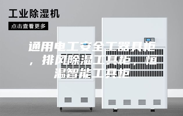 通用電工安全工器具柜，排風(fēng)除濕工具柜，恒溫智能工具柜